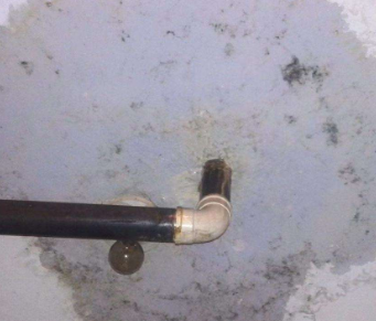 阳信卫生间防水哪家好