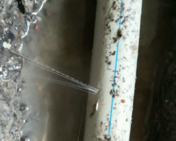 阳信卫生间测漏水多少钱