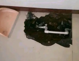 阳信卫生间测漏水多少钱